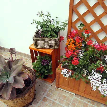 Il Geranio Guest house Calimera (Lecce)