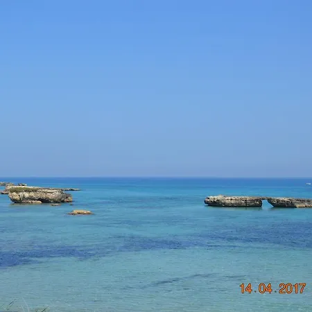 Il Geranio