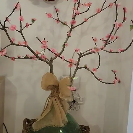 Guest house Il Geranio